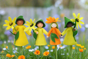 Cape Marigold Fairy