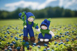 Handmade Blueberry Pixie Doll by Ambrosius – Eco-Friendly Wool Felt Waldorf Toy from Eco Flower Fairies LLC