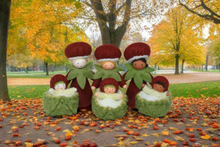 Handmade Chestnut Fairy Doll Set by Ambrosius – Eco-Friendly Wool Felt Waldorf Toy from Eco Flower Fairies LLC