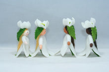 Christmas Rose Princess | Waldorf Doll Shop | Eco Flower Fairies | Handmade by Ambrosius