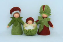 Handmade Chestnut Fairy Doll Set by Ambrosius – Eco-Friendly Wool Felt Waldorf Toy from Eco Flower Fairies LLC