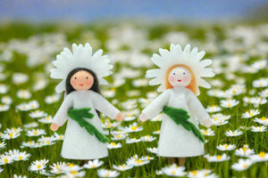 Daisy Fairy Doll – 2.5” Handmade Felt Waldorf Decoration by Ambrosius