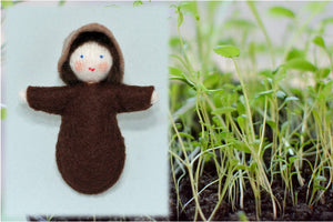 Seed Baby | Waldorf Doll Shop | Eco Flower Fairies | Handmade by Ambrosius