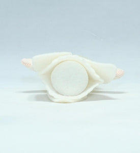 Snowdrop Princess | Waldorf Doll Shop | Eco Flower Fairies