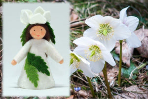 Christmas Rose Fairy | Waldorf Doll Shop | Eco Flower Fairies | Handmade by Ambrosius