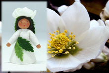 Christmas Rose Fairy | Waldorf Doll Shop | Eco Flower Fairies | Handmade by Ambrosius