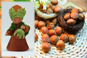 Hazelnut Prince | Waldorf Doll Shop | Eco Flower Fairies | Handmade by Ambrosius