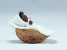 Baby in Walnut Cradle | Waldorf Doll Shop | Eco Flower Fairies | Handmade by Ambrosius