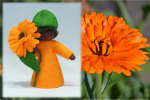 Calendula Prince | Waldorf Doll Shop | Eco Flower Fairies | Handmade by Ambrosius