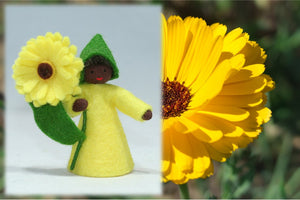 Calendula Prince | Waldorf Doll Shop | Eco Flower Fairies | Handmade by Ambrosius