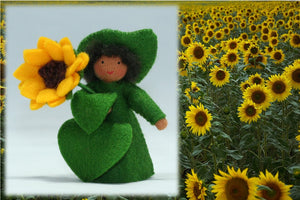 Sunflower Fairy | Waldorf Doll Shop | Eco Flower Fairies | Handmade by Ambrosius