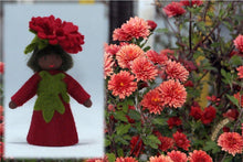 Chrysanthemum Prince | Waldorf Doll Shop | Eco Flower Fairies | Handmade by Ambrosius