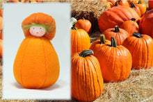Pumpkin Kid | Waldorf Doll Shop | Eco Flower Fairies | Handmade by Ambrosius