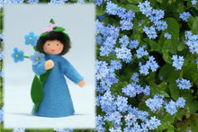 Forget-Me-Not Fairy | Waldorf Doll Shop | Eco Flower Fairies | Handmade by Ambrosius