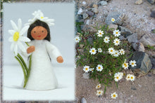 Desert Star Fairy | Waldorf Doll Shop | Eco Flower Fairies | Handmade by Ambrosius