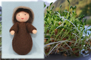 Seed Baby | Waldorf Doll Shop | Eco Flower Fairies | Handmade by Ambrosius