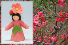Flowering Quince Fairy | Waldorf Doll Shop | Eco Flower Fairies | Handmade by Ambrosius