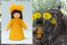 Desert Marigold Fairy | Waldorf Doll Shop | Eco Flower Fairies | Handmade by Ambrosius