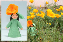 Golden Poppy Fairy | Waldorf Doll Shop | Eco Flower Fairies | Handmade by Ambrosius