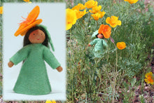 Golden Poppy Fairy | Waldorf Doll Shop | Eco Flower Fairies | Handmade by Ambrosius