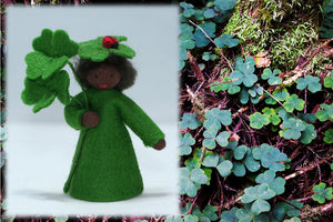 Clover Prince | Waldorf Doll Shop | Eco Flower Fairies | Handmade by Ambrosius