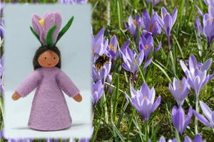 Crocus Fairy | Waldorf Doll Shop | Eco Flower Fairies | Handmade by Ambrosius
