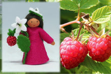 Raspberry Fairy | Waldorf Doll Shop | Eco Flower Fairies | Handmade by Ambrosius