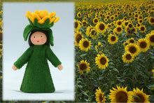 Sunflower Fairy | Waldorf Doll Shop | Eco Flower Fairies | Handmade by Ambrosius