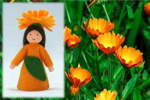 Calendula Fairy | Waldorf Doll Shop | Eco Flower Fairies | Handmade by Ambrosius