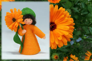 Calendula Prince | Waldorf Doll Shop | Eco Flower Fairies | Handmade by Ambrosius