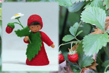 Wild Strawberry Prince | Waldorf Doll Shop | Eco Flower Fairies | Handmade by Ambrosius