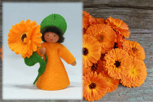 Calendula Prince | Waldorf Doll Shop | Eco Flower Fairies | Handmade by Ambrosius