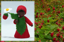 Wild Strawberry Prince | Waldorf Doll Shop | Eco Flower Fairies | Handmade by Ambrosius