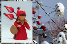 Rose Hips Fairy | Waldorf Doll Shop | Eco Flower Fairies | Handmade by Ambrosius