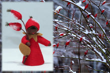 Rose Hips Fairy | Waldorf Doll Shop | Eco Flower Fairies | Handmade by Ambrosius