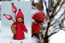 Rose Hips Fairy | Waldorf Doll Shop | Eco Flower Fairies | Handmade by Ambrosius